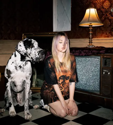 Image 10023849 from Alison Wonderland