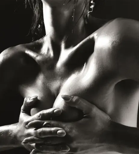 Image 10029688 from Daniela Lopez Osorio