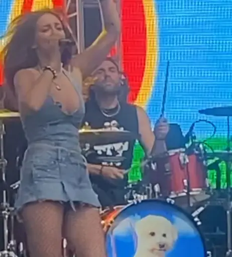 Image 10029247 from Lølø