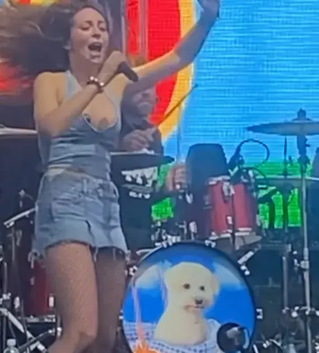 Image 10029246 from Lølø