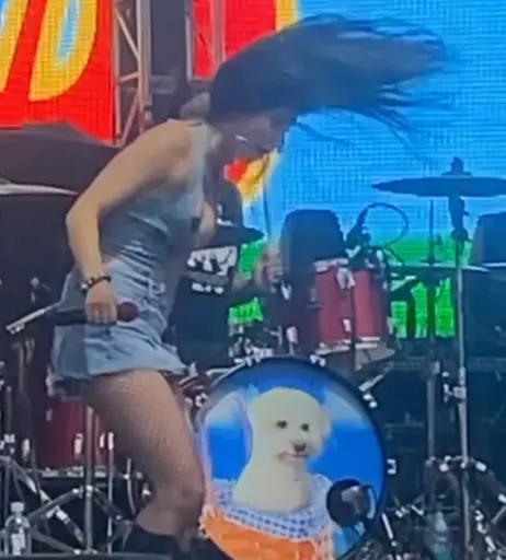 Image 10029245 from Lølø