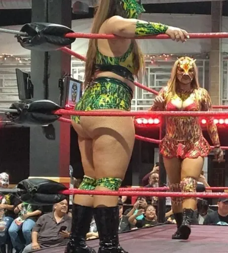 Image 10036493 from Women of Professional Wrestling