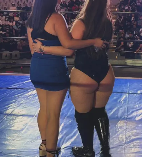 Image 10036485 from Women of Professional Wrestling