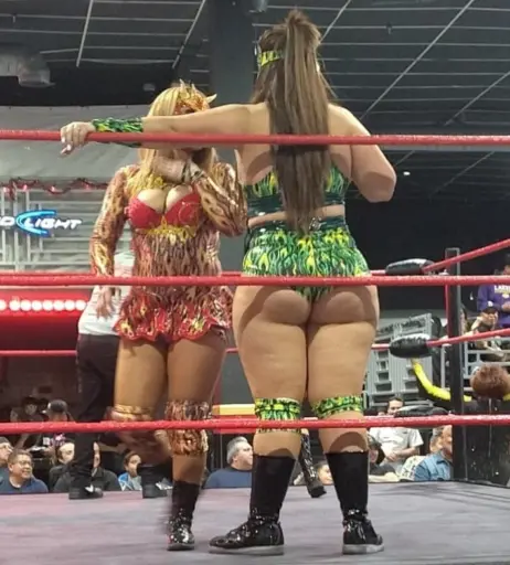 Image 10036489 from Women of Professional Wrestling