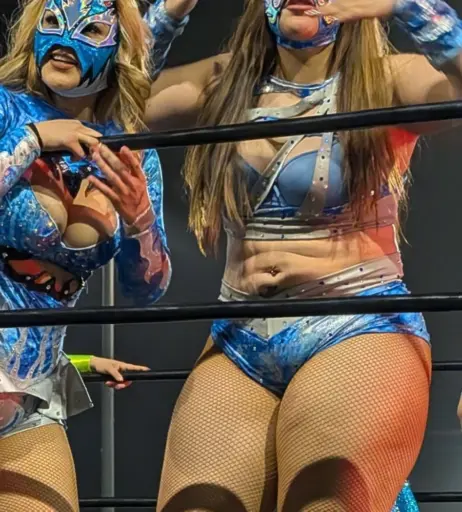 Image 10036488 from Women of Professional Wrestling