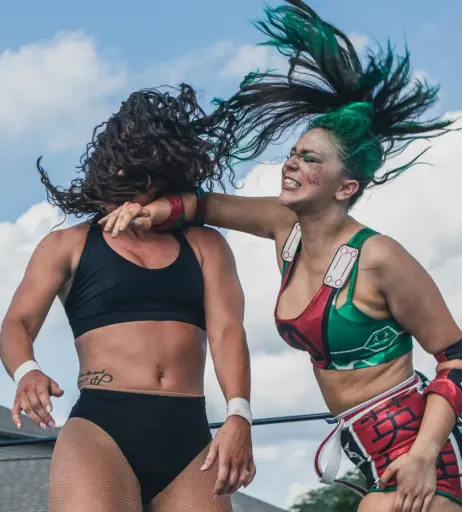 Image 10036632 from Women of Professional Wrestling