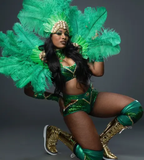 Image 10036171 from Women of Professional Wrestling