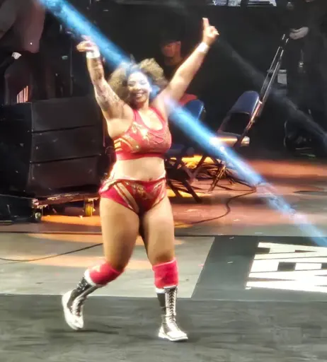 Image 10036392 from Women of Professional Wrestling