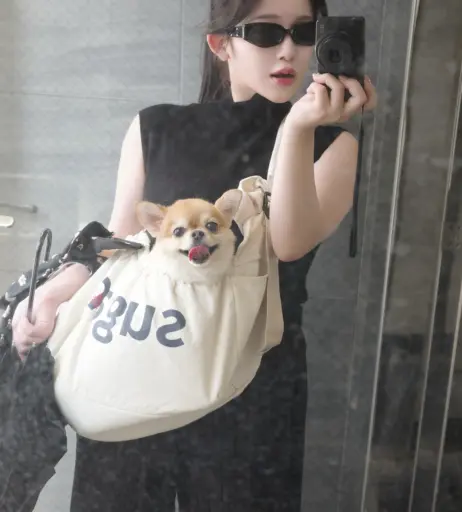 Image 10005584 from Jun Amaki