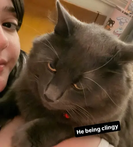 Image 10007197 from onisuna