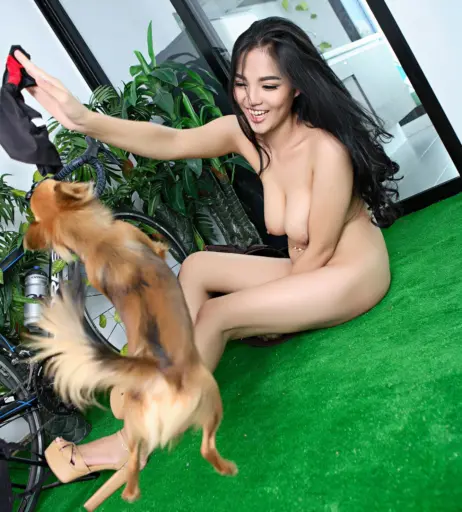 Image 10083472 from Faii Orapun/ImFaii