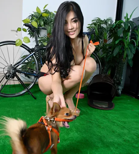 Image 10083478 from Faii Orapun/ImFaii