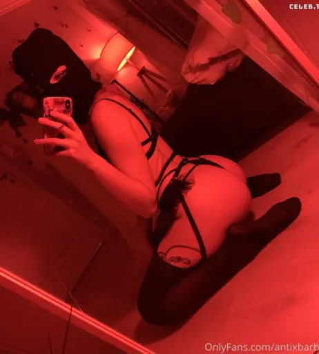 Image 319157 from Antixbarbie