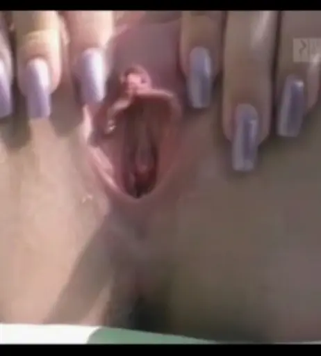 Image 3183056 from Bettie Ballhaus