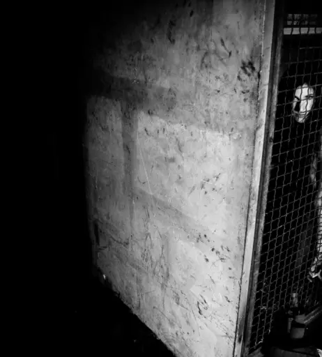 Image 3174093 from Calvato Photography - Patreon
