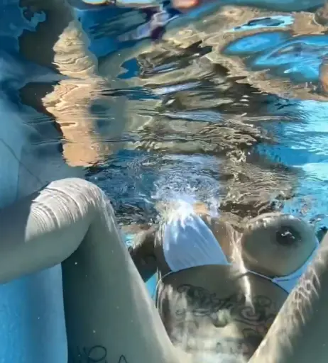 Image 3166888 from Brittanya Razavi