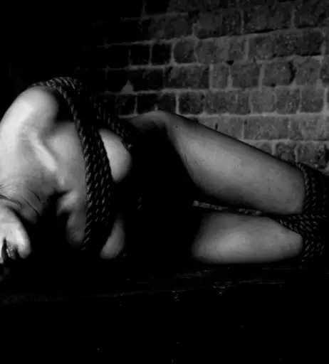 Image 3166399 from Calvato Photography - Patreon