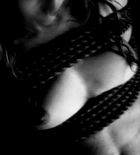 Image 3166958 from Calvato Photography - Patreon