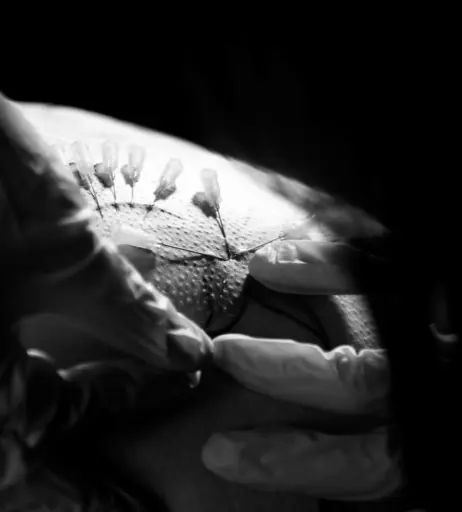 Image 3157769 from Calvato Photography - Patreon
