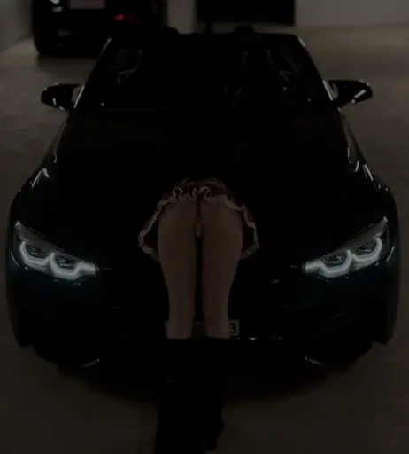 Image 3154544 from Lara Alvess