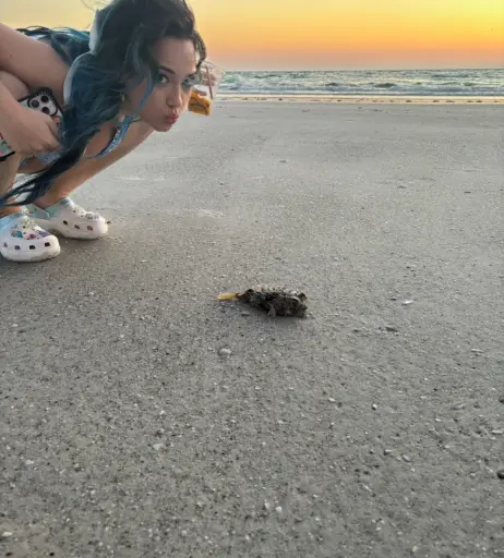 Image 3152366 from Sofia Gomez