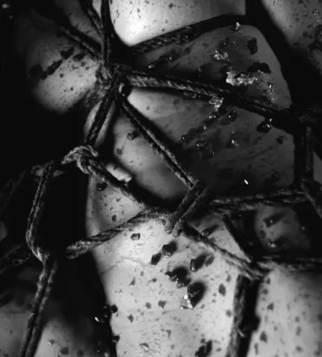 Image 3159350 from Calvato Photography - Patreon