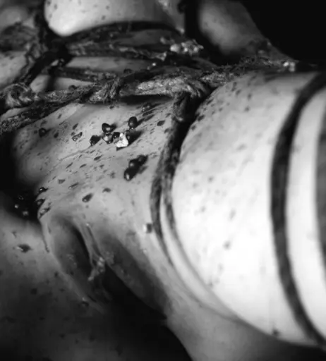 Image 3159300 from Calvato Photography - Patreon