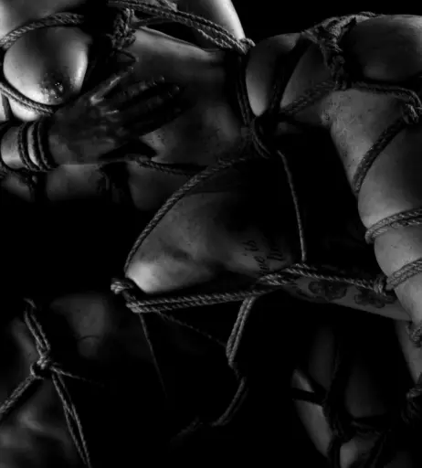 Image 3158238 from Calvato Photography - Patreon