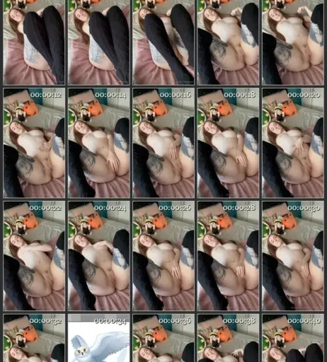 Image 3147882 from Highlandbunny