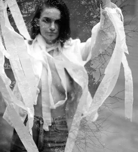 Image 3149421 from Alexis Reed