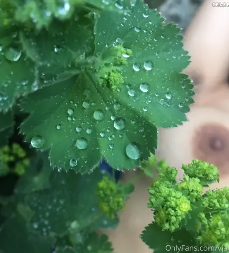 Image 314971 from 69wildhonig / vjayjay