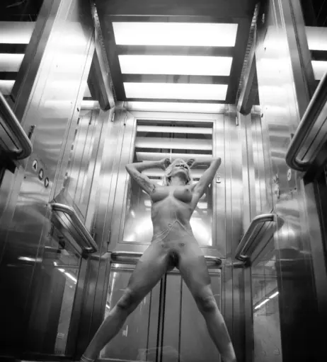 Image 3135193 from Calvato Photography - Patreon