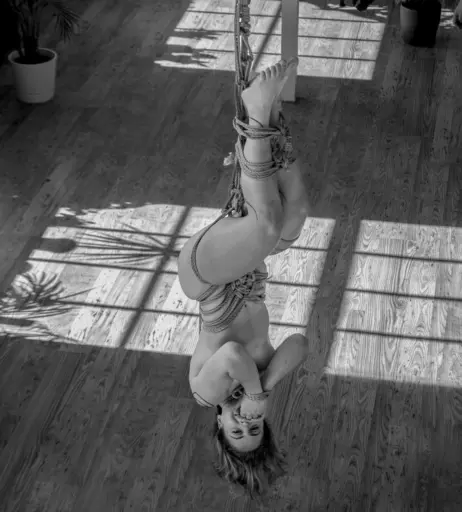 Image 3135128 from Hoopsy Daisy