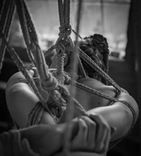 Image 3135368 from Hoopsy Daisy