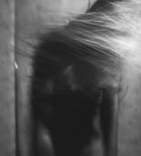 Image 3118953 from Calvato Photography - Patreon