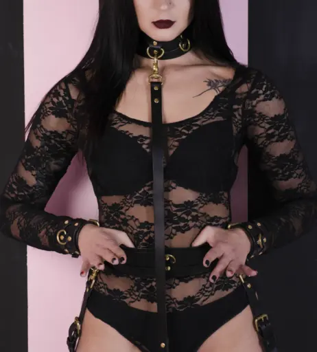 Image 310176 from Anastasia Firebird