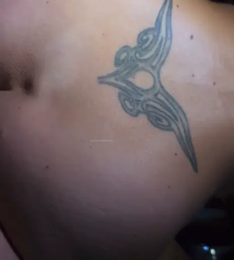 Image 3284134 from Sandylein