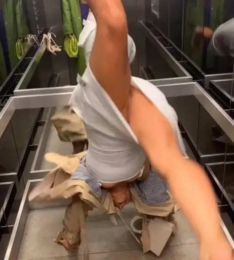 Image 3278174 from Lola Weippert