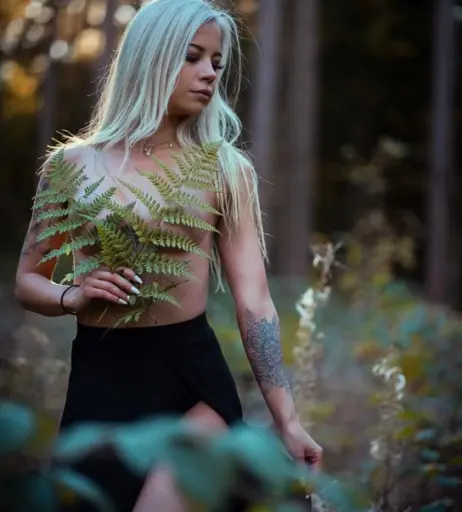 Image 323450 from Static_Maus