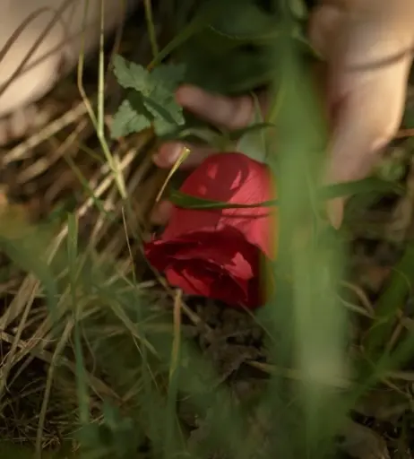 Image 3384751 from Lada Lyumos