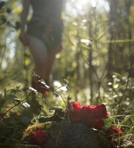 Image 3384741 from Lada Lyumos