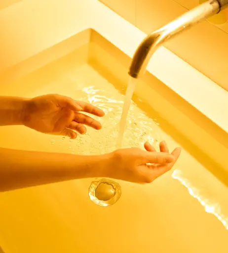 Image 338431 from Margo Vishnevska