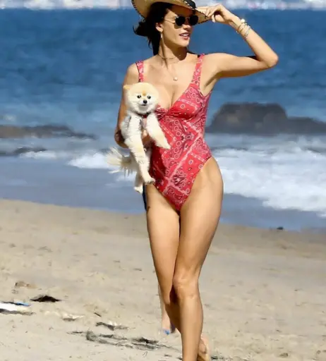 Image 3384286 from Alessandra Ambrosio