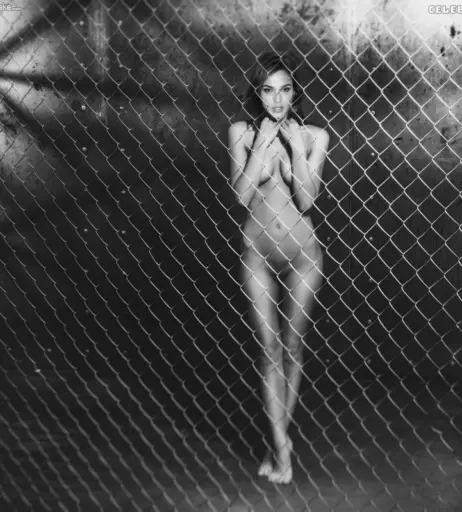 Image 3381785 from Gal Gadot