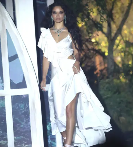 Image 3371822 from Shanina Shaik