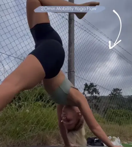 Image 3378094 from Joana Link