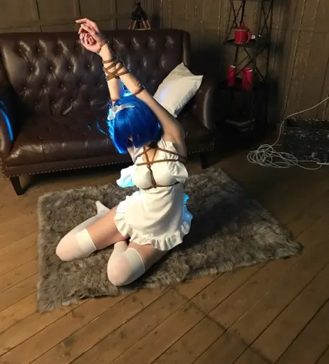 Image 336007 from gliese__581