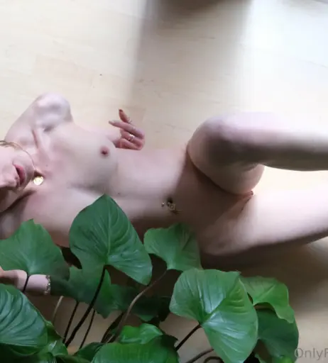 Image 332516 from Sofinka