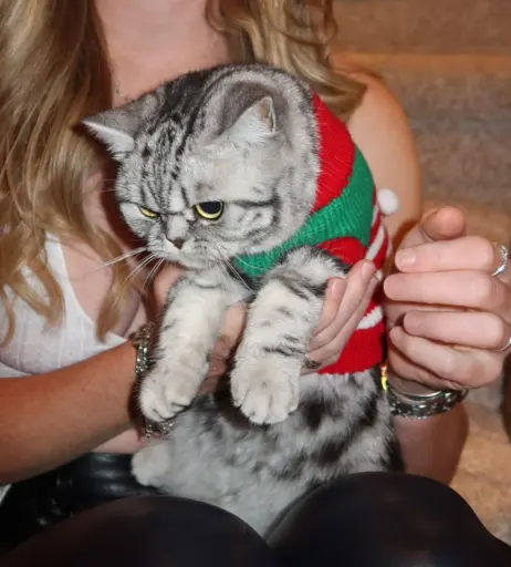 Image 3307403 from Grace Charis