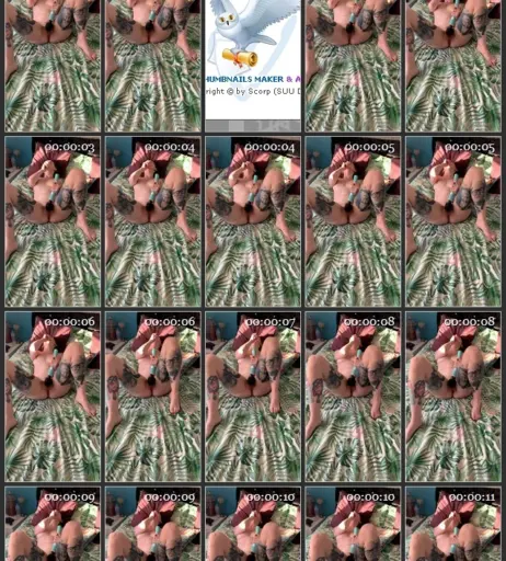 Image 3301443 from Highlandbunny